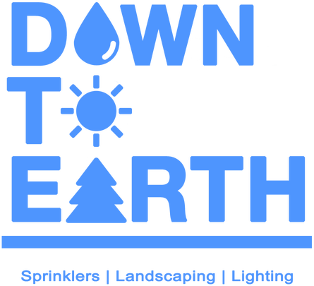 down to earth logo